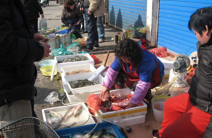 5c15f346dde5a.jpg timg.jpg